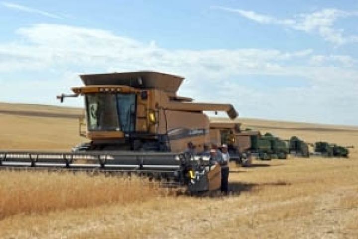 Прогноз производства зерновых снова повышен
