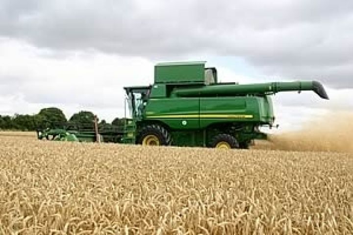 Украина намолотила 30 млн т зерна — Минагропрод
