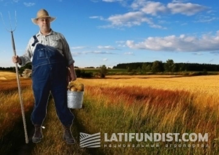 В руках украинских фермеров сосредоточено 4,4 млн га земли