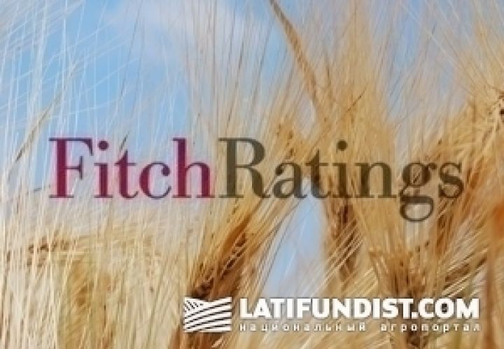 Fitch понизил рейтинг Агротона