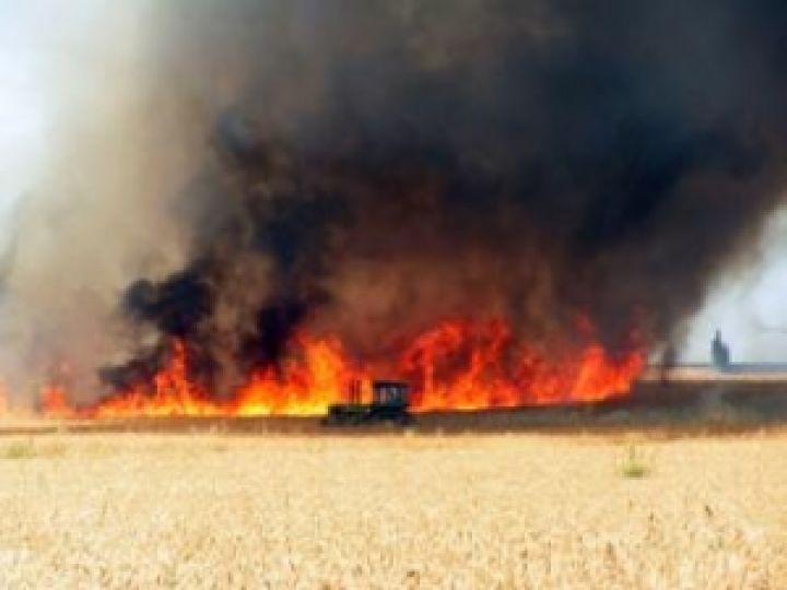 В одной из агрофирм Днепропетровской области сгорело 425 тонн зерна