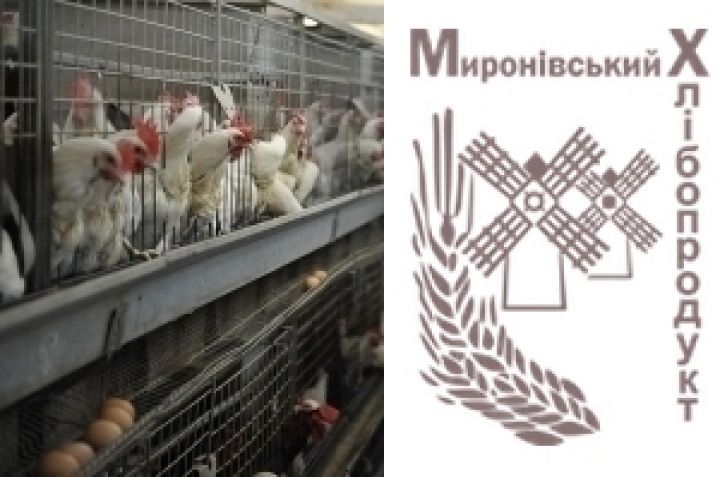 МХП втрое увеличил экспорт курятины