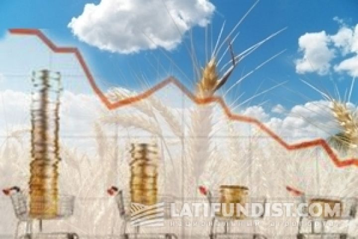 Акции украинских агрохолдингов обвалились на европейских биржах — Concorde Capital