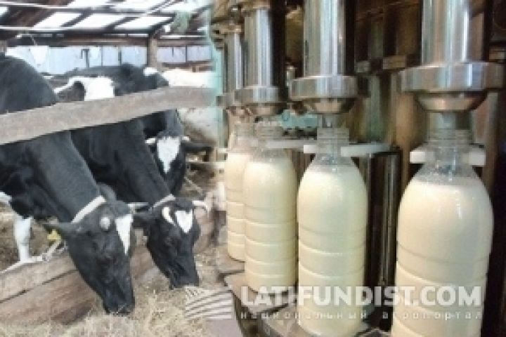 Парламент отменил обязательную аттестацию производителей молочной продукции