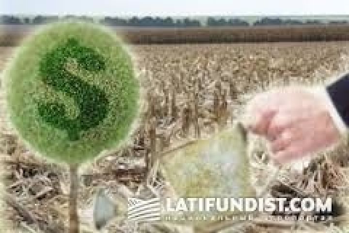 Украинские аграрии ежегодно недопулучают $7 млрд — мнение