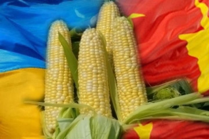 В октябре-ноябре первая партия украинской кукурузы поступит на китайский рынок — Бровди