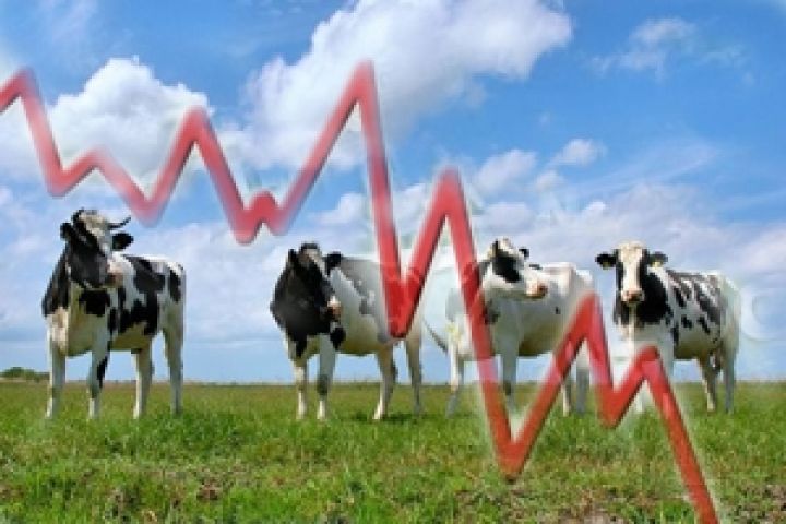 Экспортная пошлина на живой скот сделала отрасль убыточной — УАК