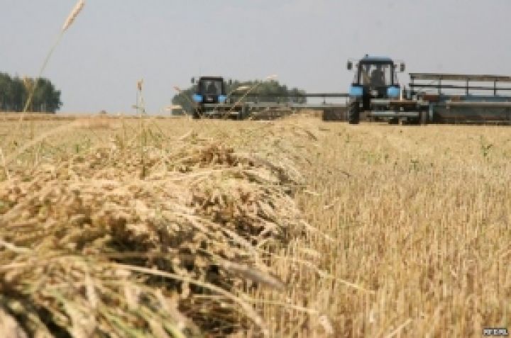 Экспорт пшеницы достиг нового рекорда