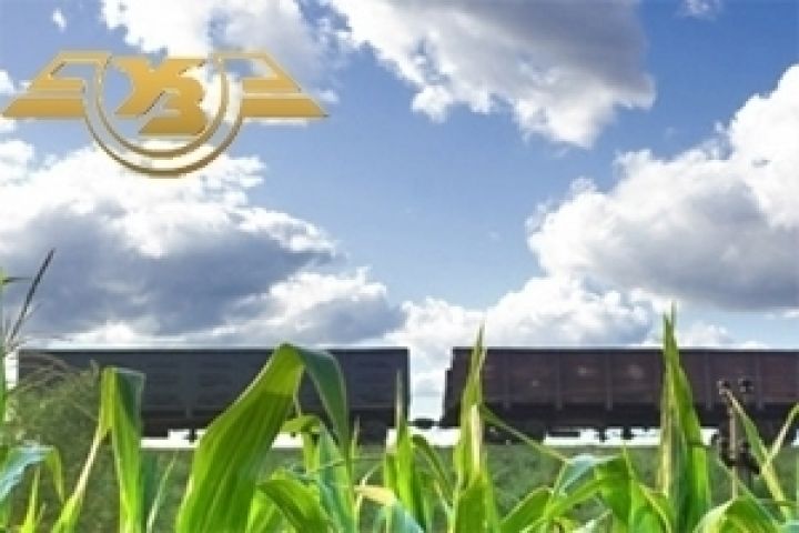 Железные дороги Украины перевезли 11,7 млн т зерновых грузов