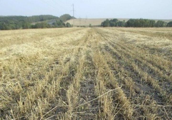 Рынок сельхозземель в Украины в ближайшие годы будет на замке — эксперты