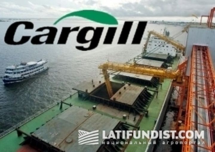 Cargill построит зерноперевалочный комплекс в Южном?