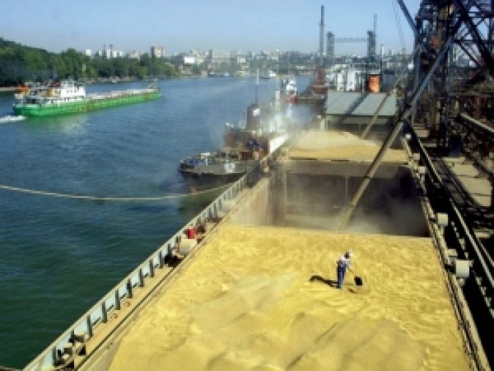 Что мешает украинскому экспорту зерна