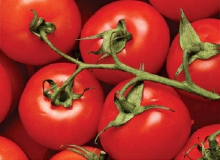 Треть овощного импорта Украины составляют помидоры