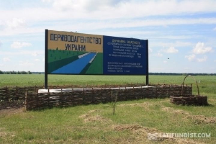 Кабмин принял Концепцию развития агролесомелиорации в Украине