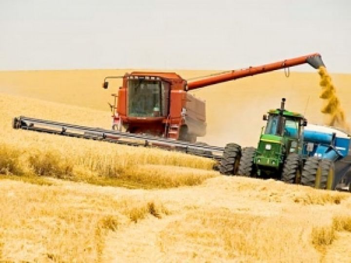Аграрии Сумщины произвели продукции на 4,2 млрд грн — Чмырь