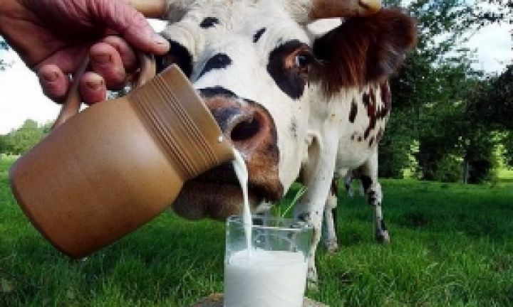 Импорт молока в Украину вырос на 36% — Минэкономразвития