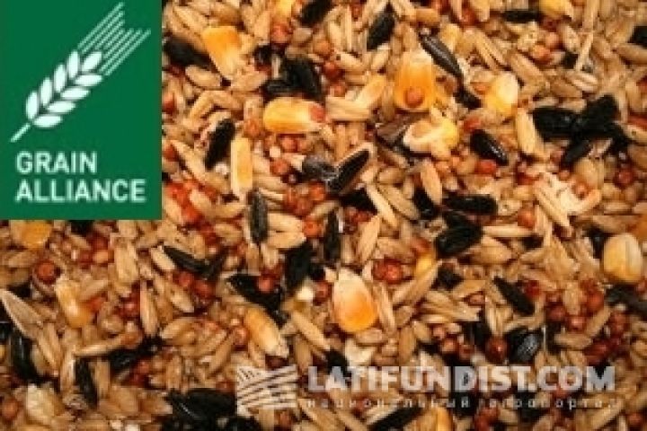 Grain Alliance запустила семенной цех в Киевской области