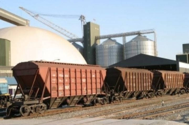 Развитием инфраструктуры рынка зерна в Украине должны заниматься частные компании — Козаченко