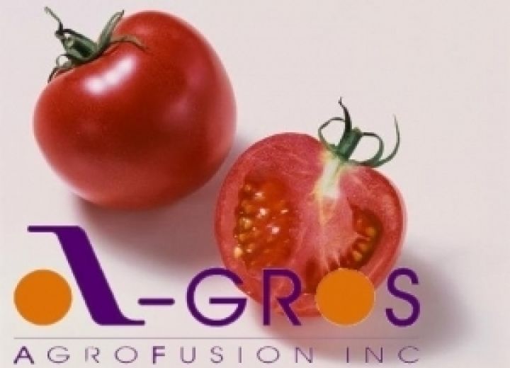 Agrofusion построит завод по производству томатной пасты в Херсонской области