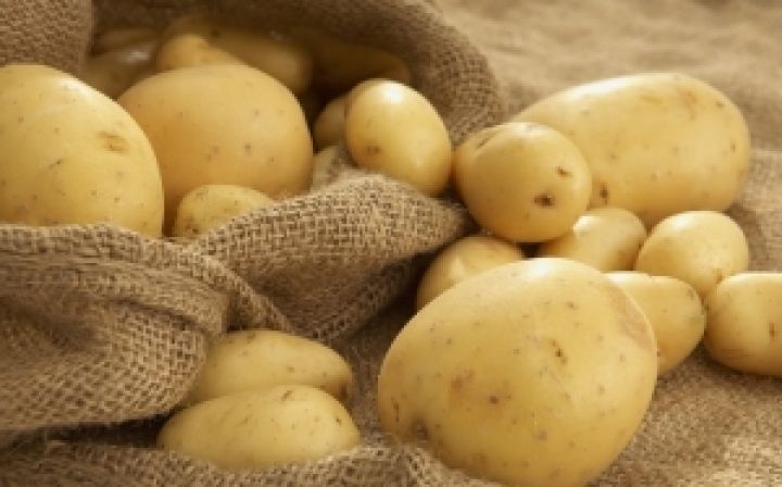 Урожая картофеля хватит на всех — Азаров