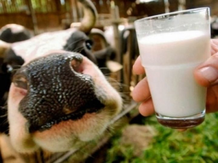 На Львовщине подсчитали оптимальную стоимость молока