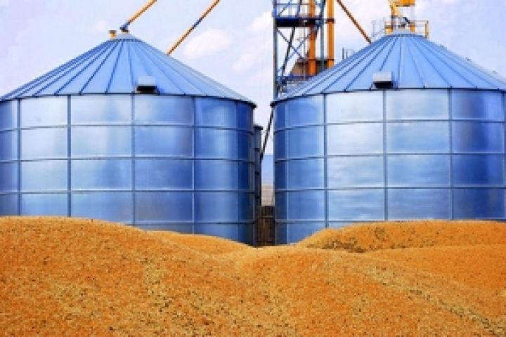 Южная Корея поможет Украине стать вторым в мире экспортером зерна