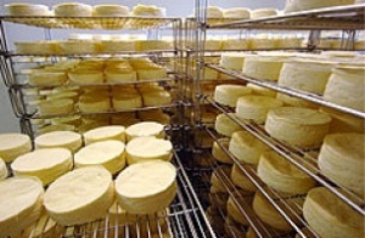 Милкиленд вложил €1 млн в новую линию производства сыров