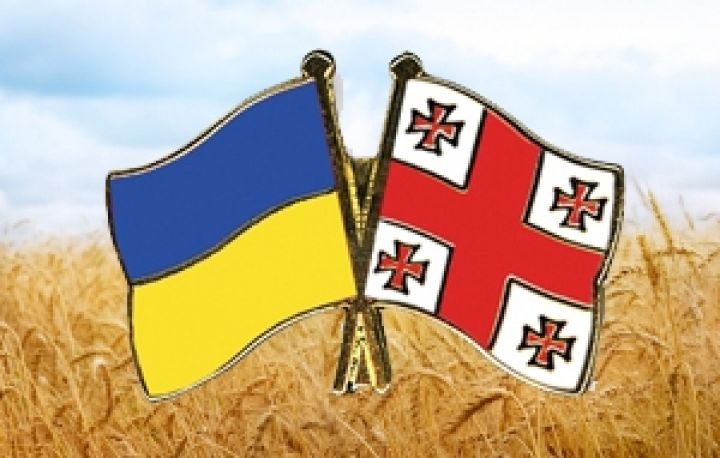 Украина нарастит поставки сельхозпродукции в Грузию