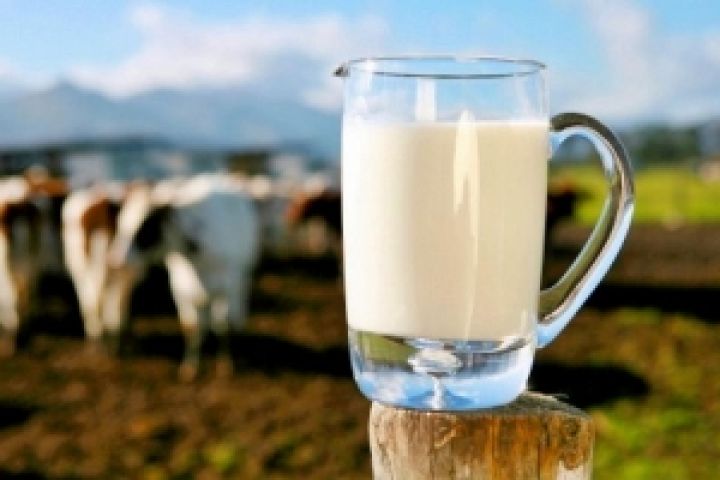 Свыше 40% молока и мяса в Украине не соответствуют стандартам качества — Госпотребстандарт