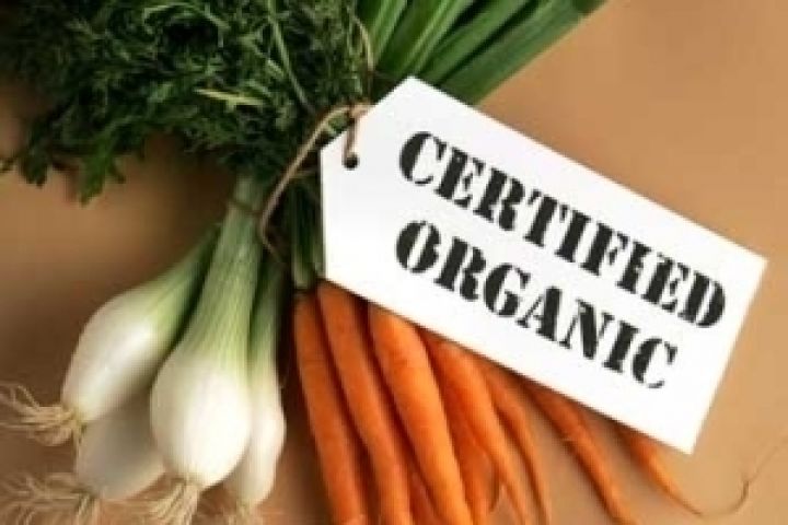 Янукович подписал закон об органической сельхозпродукции
