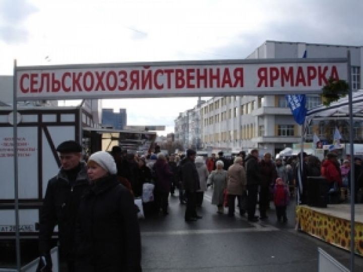 Аграрии заработали на ярмарках более 5 млрд грн — Присяжнюк