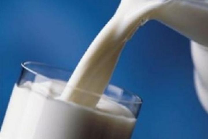 За превышение квот на поставки молока 5 странам ЕС грозит штраф в €46 млн