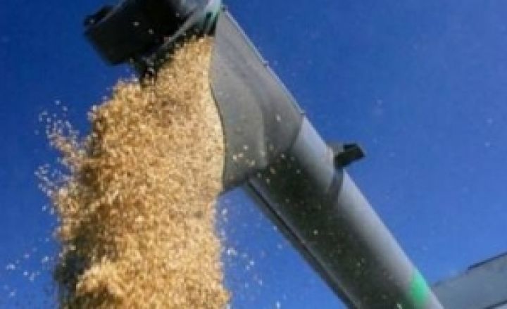 В Украине собрано свыше 41 млн т зерна