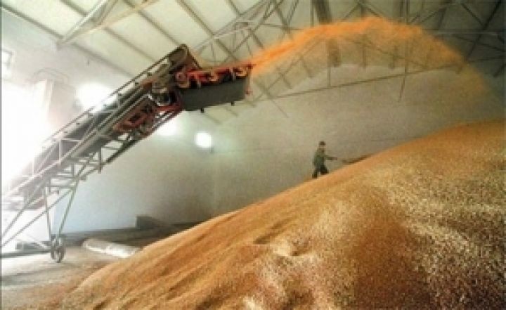 В Одесской области производство зерна увеличилось в 1,7 раза