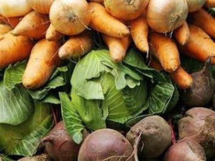 Урожай овощей в Украине в разы превысит потребность населения