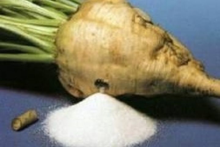 Урожайность сахарной свеклы в Украине выросла на 9% — Минагропрод
