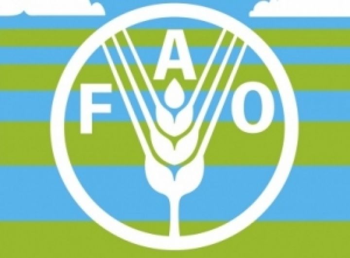 ФАО призвал подготовится к возможным изменениям цен на продовольствие