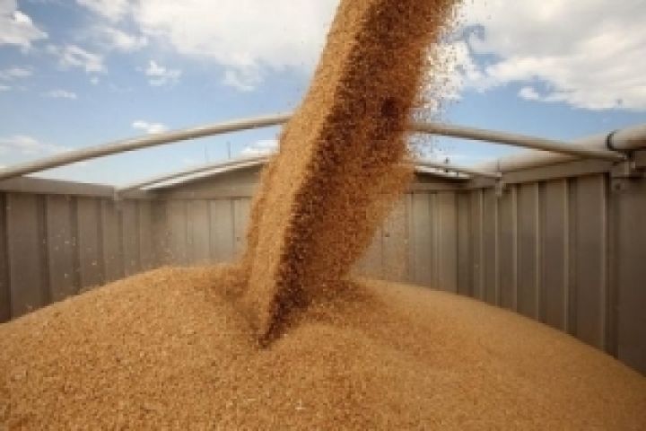 На Харьковщине собрано 3 млн т зерна