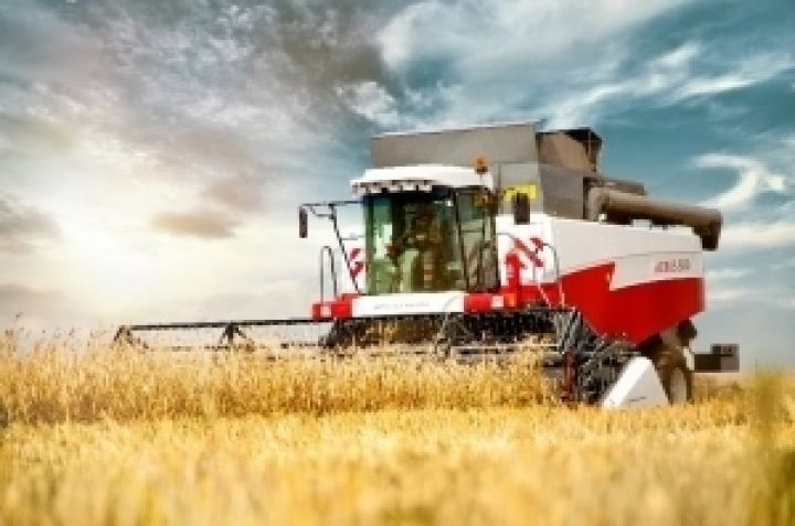 Треть регистрируемых в Украине предприятий планируют выращивать зерновые