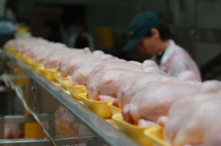 Рост производства мяса в Украине приведет к его постепенному импортзамещению — Минагропрод