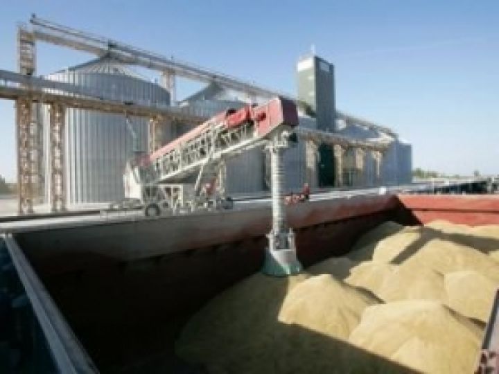 Запасы зерна в Украине сократились почти на 2 млн т — Госстат