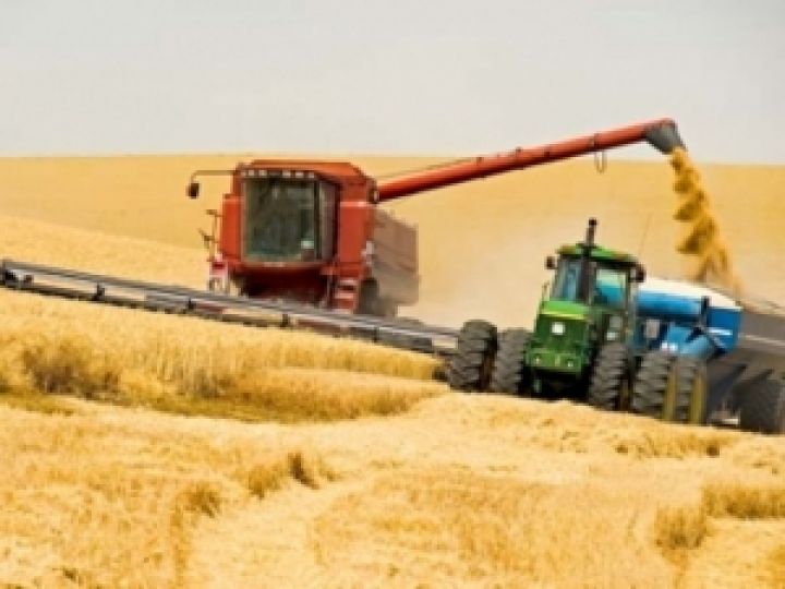 Урожай зерна в Украине достигнет рекордных 60 млн т — Присяжнюк