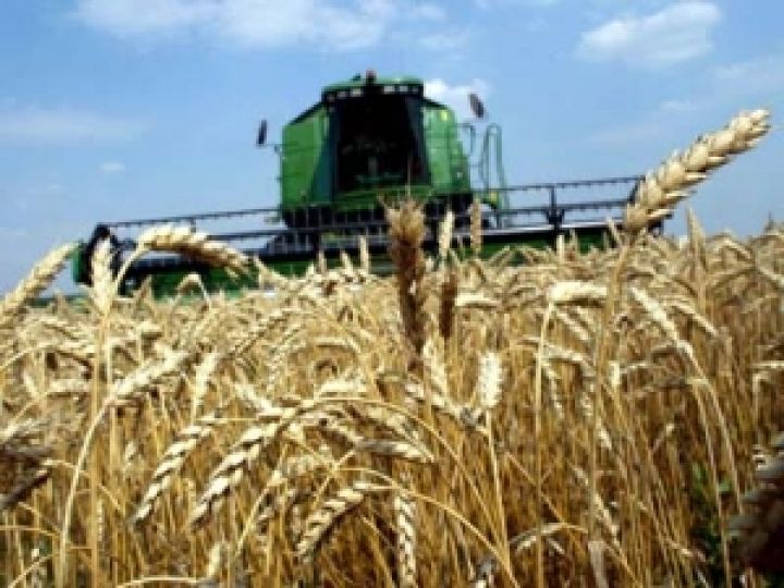 Создание зернового пула принесет Украине потерю логистических преимуществ — эксперт