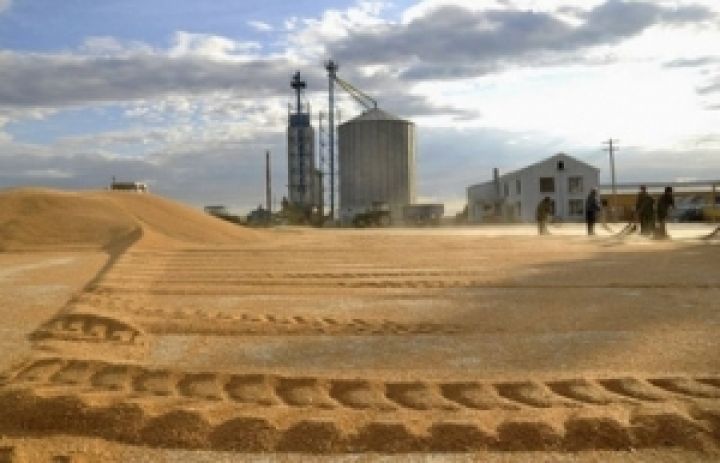 Экспорт украинского зерна превысит 30 млн т