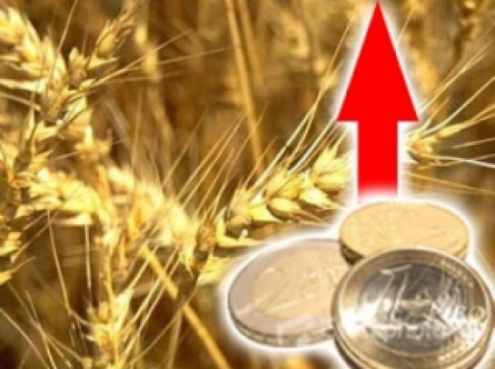 Украинские экспортеры подняли цены на зерно — Минэкономразвития