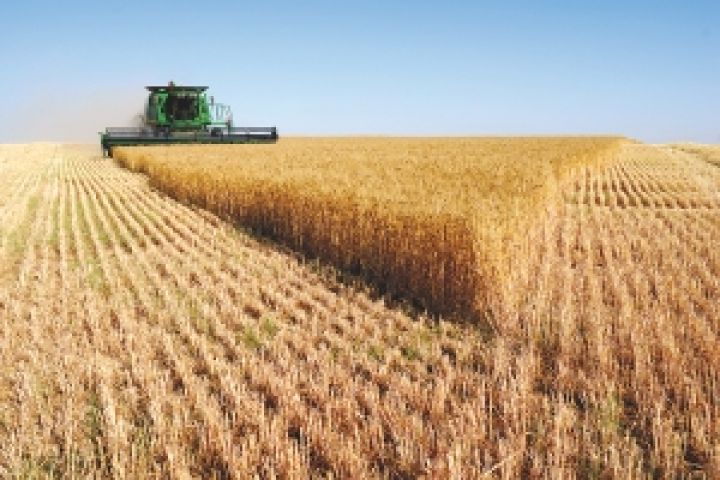 До 2020 г. производство сельхозпродукции вырастет на треть — Присяжнюк