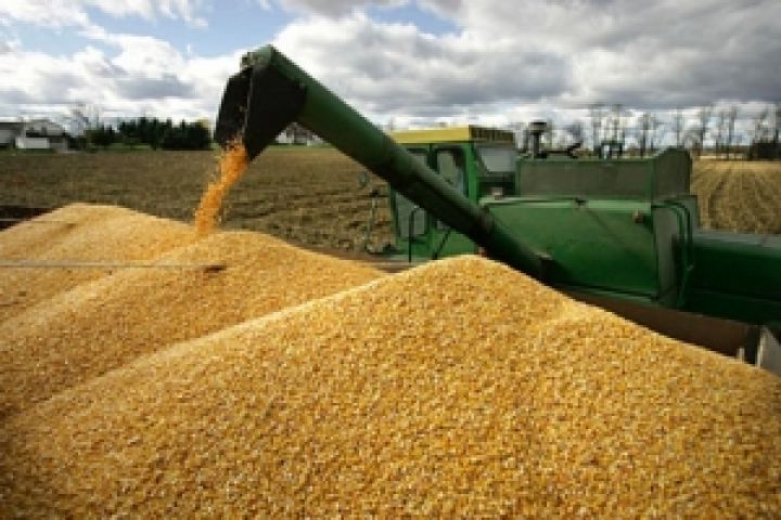 Аграрии Черкасской области собрали 3 млн т зерна