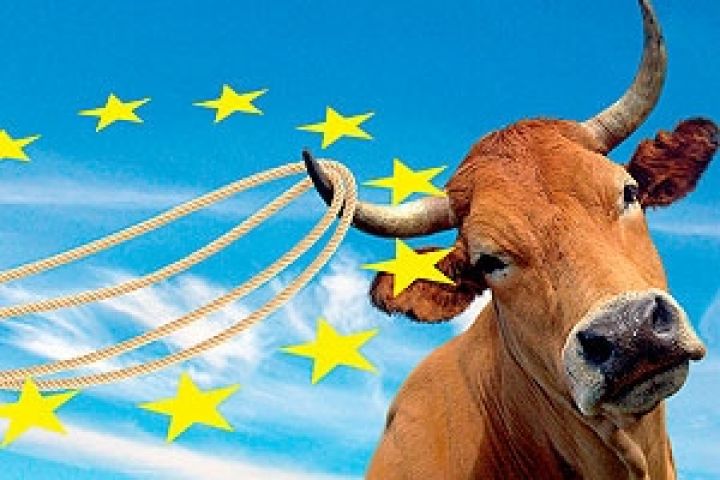 ЕС не готов покупать украинскую говядину — эксперт