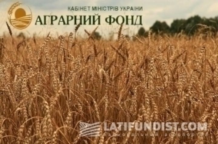 Аграрный фонд выплатил 59 млн грн по форвардным контрактам
