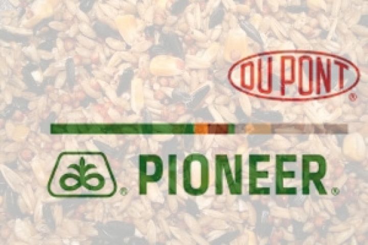 Компания DuPont Pioneer предложила перспективные решения защиты подсолнечника